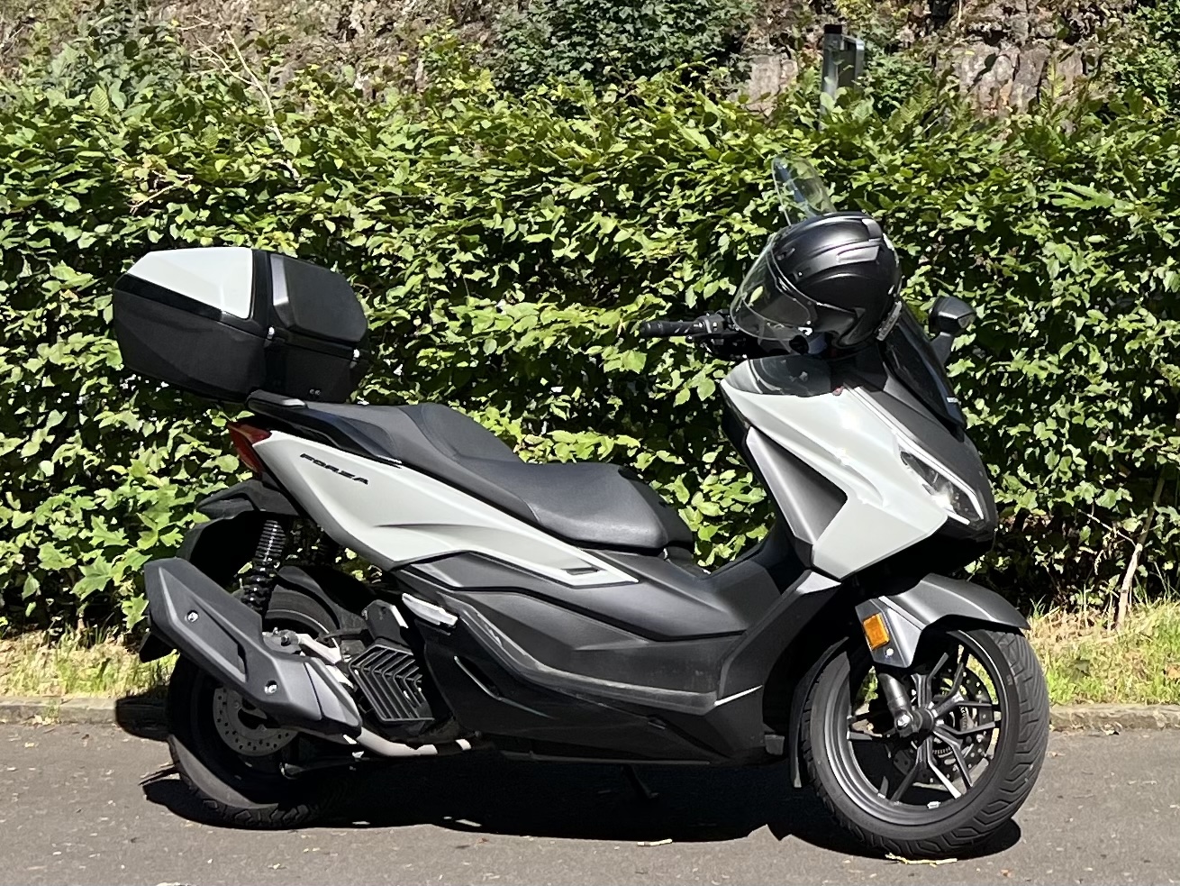 2023 - 2026<br>Honda Forza 125